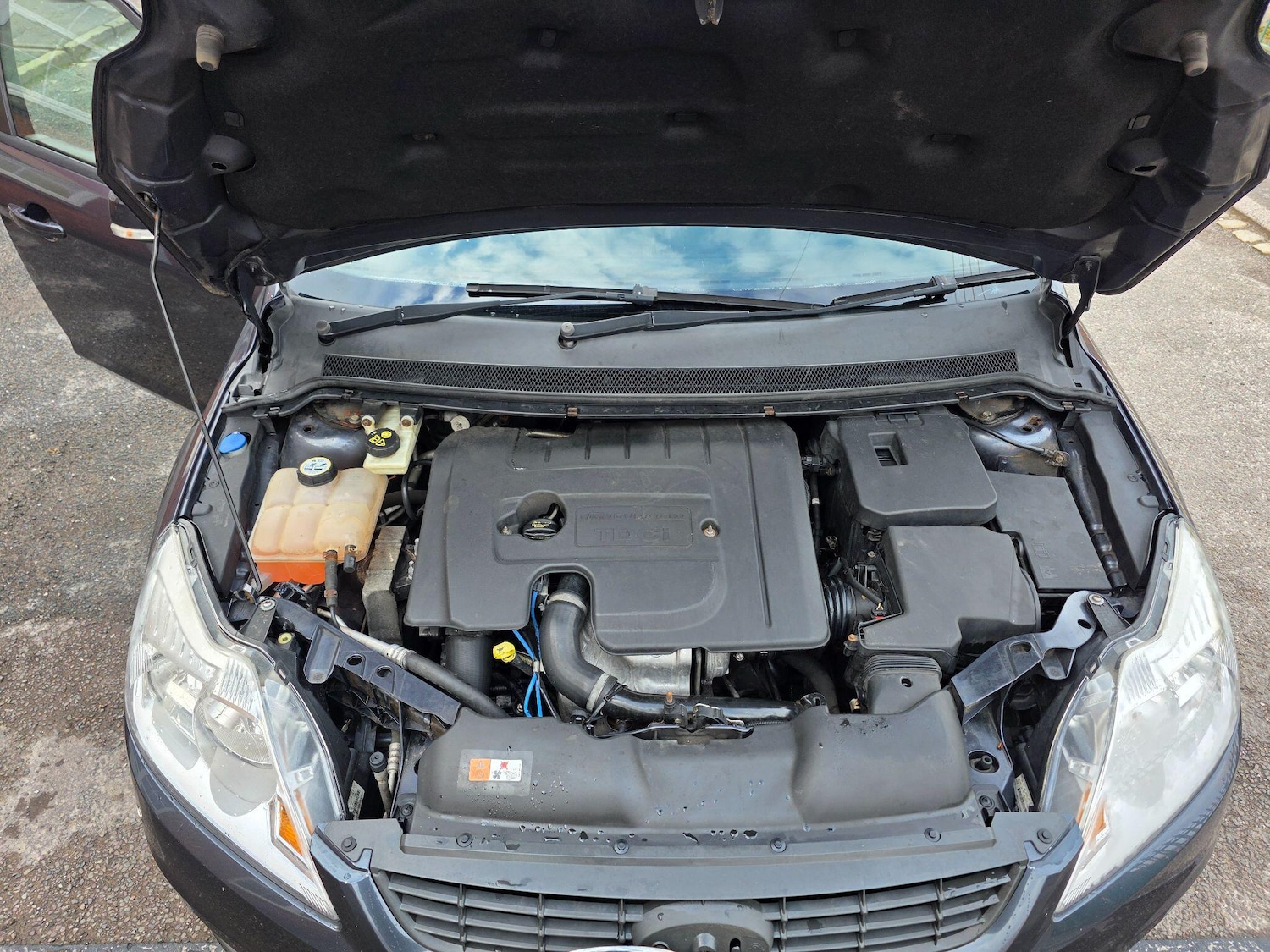 Used Ford Focus 2011 for sale - 77709963: Photo 6