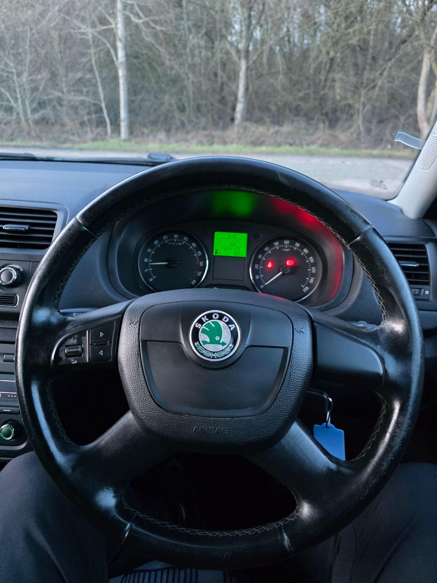 Used Skoda Fabia for sale - 77395687: Photo 14