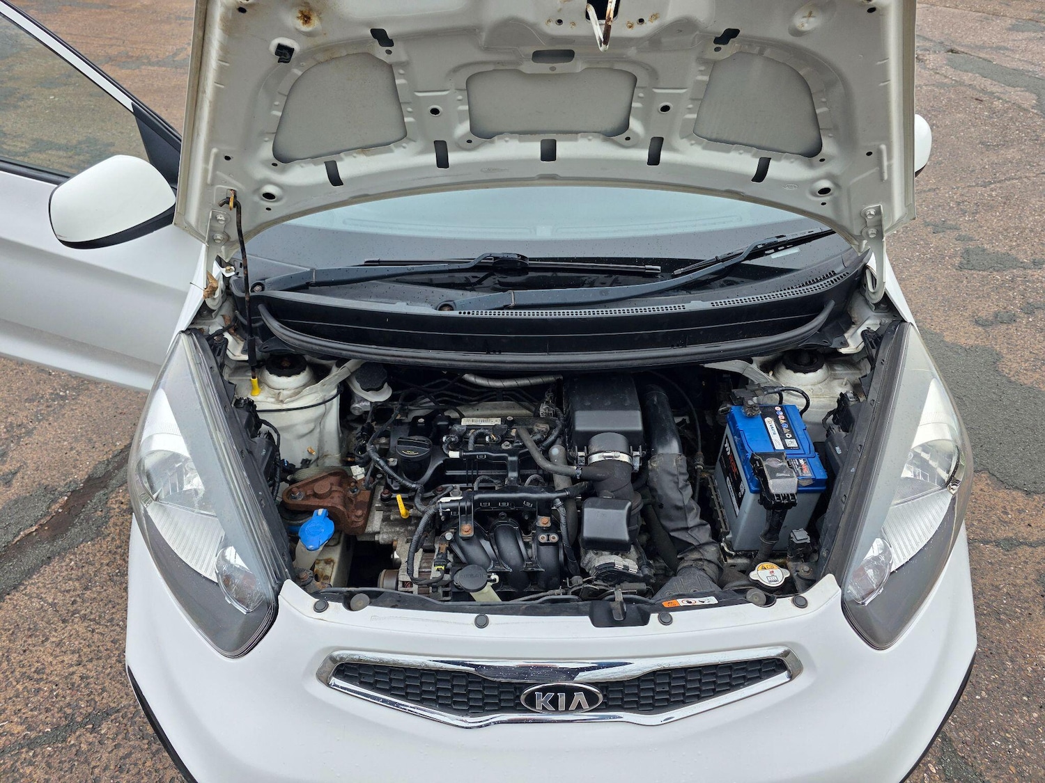 Used Kia Picanto 2014 for sale - 77411372: Photo 10