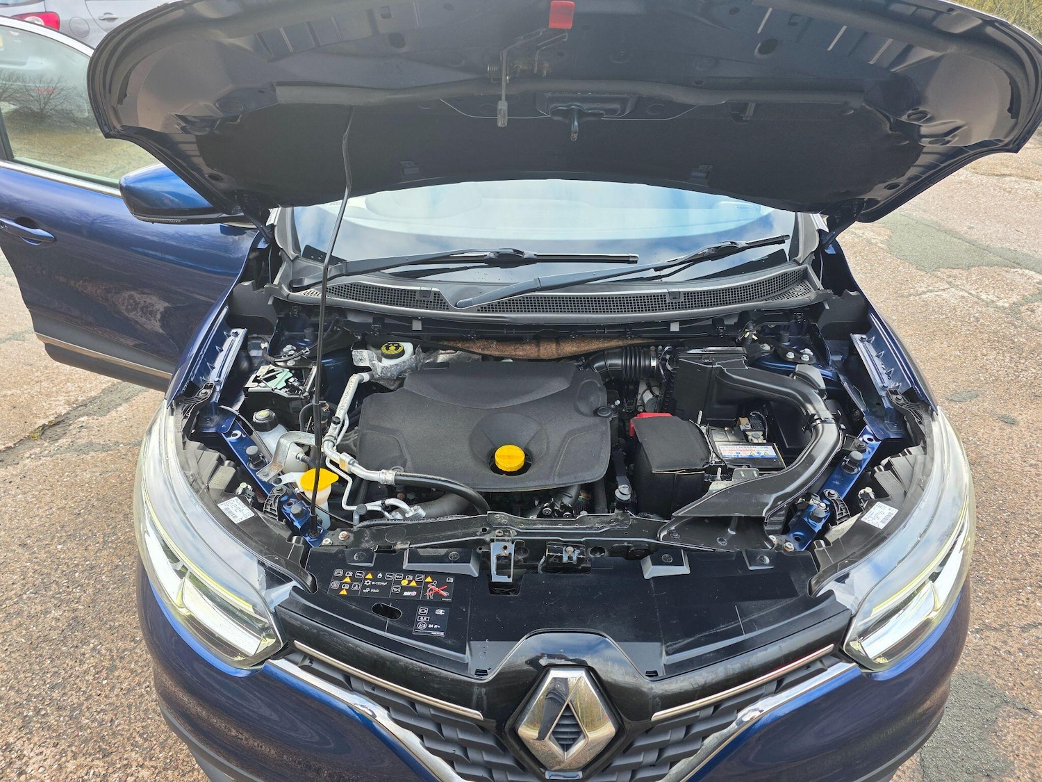 Used Renault Kadjar 2016 for sale - 77425879: Photo 10