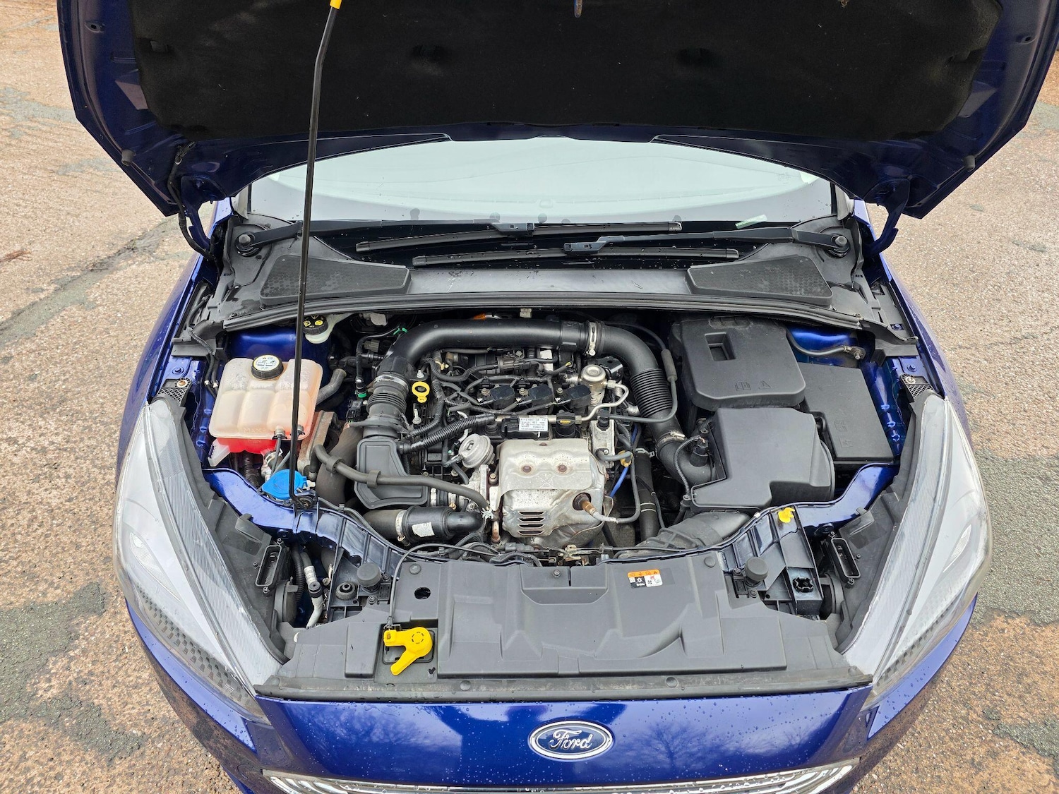 Used Ford Focus 2016 for sale - 77484105: Photo 10