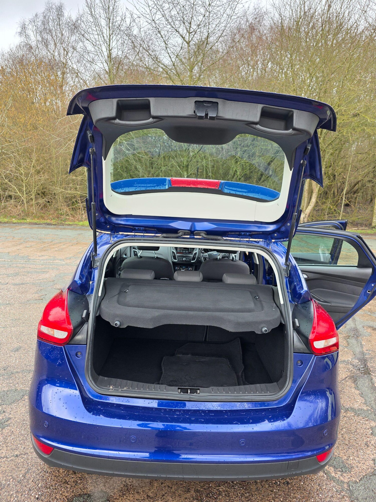 Used Ford Focus 2016 for sale - 77484105: Photo 13