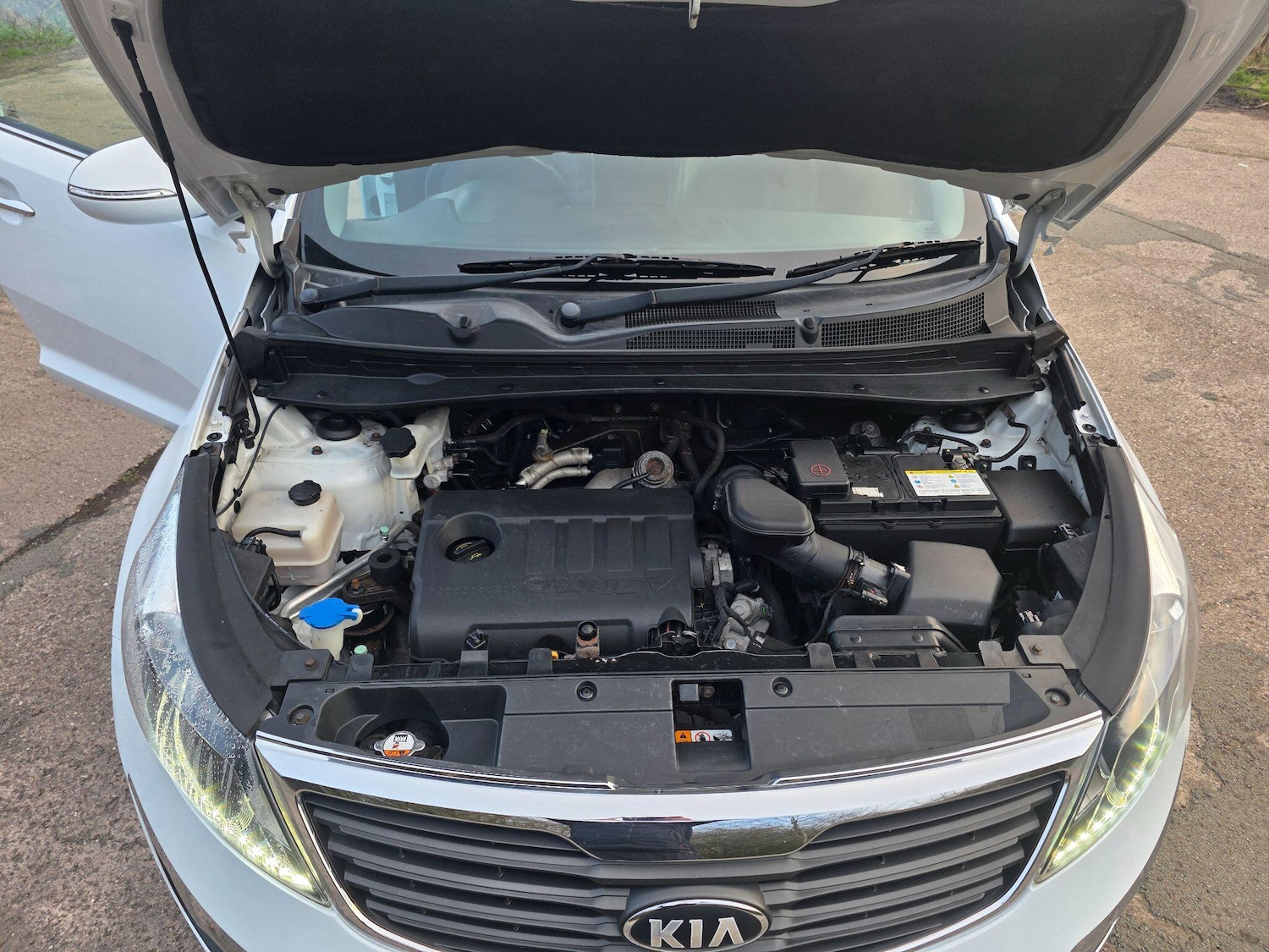 Used Kia Sportage 2013 for sale - 77883009: Photo 10