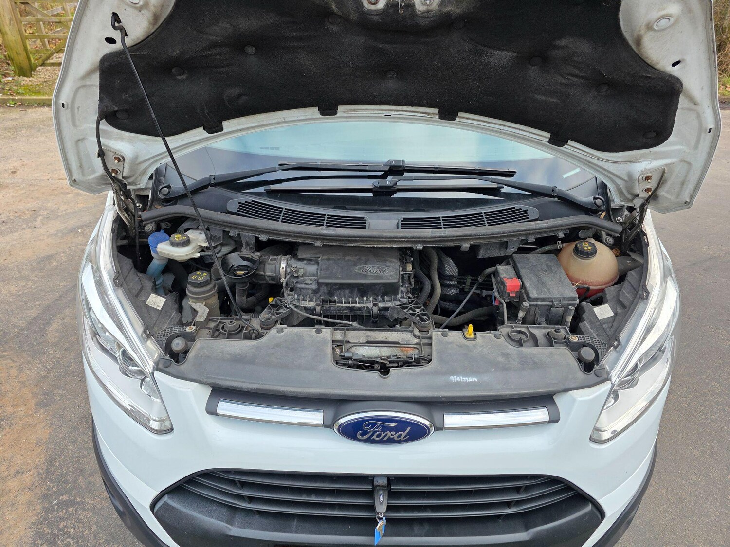 Used Ford Transit Custom for sale - 77768024: Photo 10