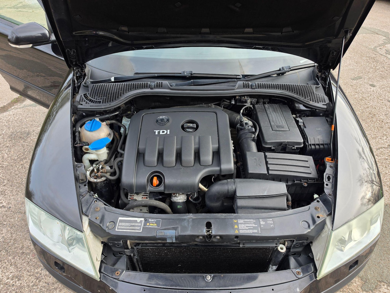 Used Skoda Octavia for sale - 78116059: Photo 10