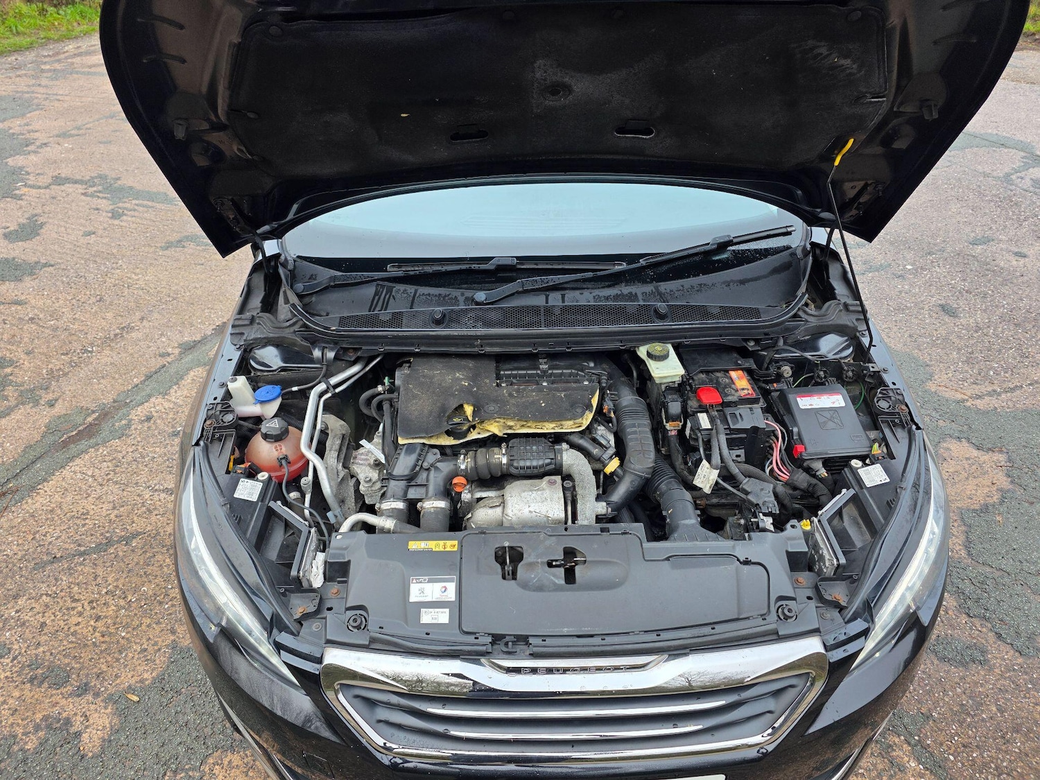 Used Peugeot 308 2015 for sale - 77278981: Photo 10