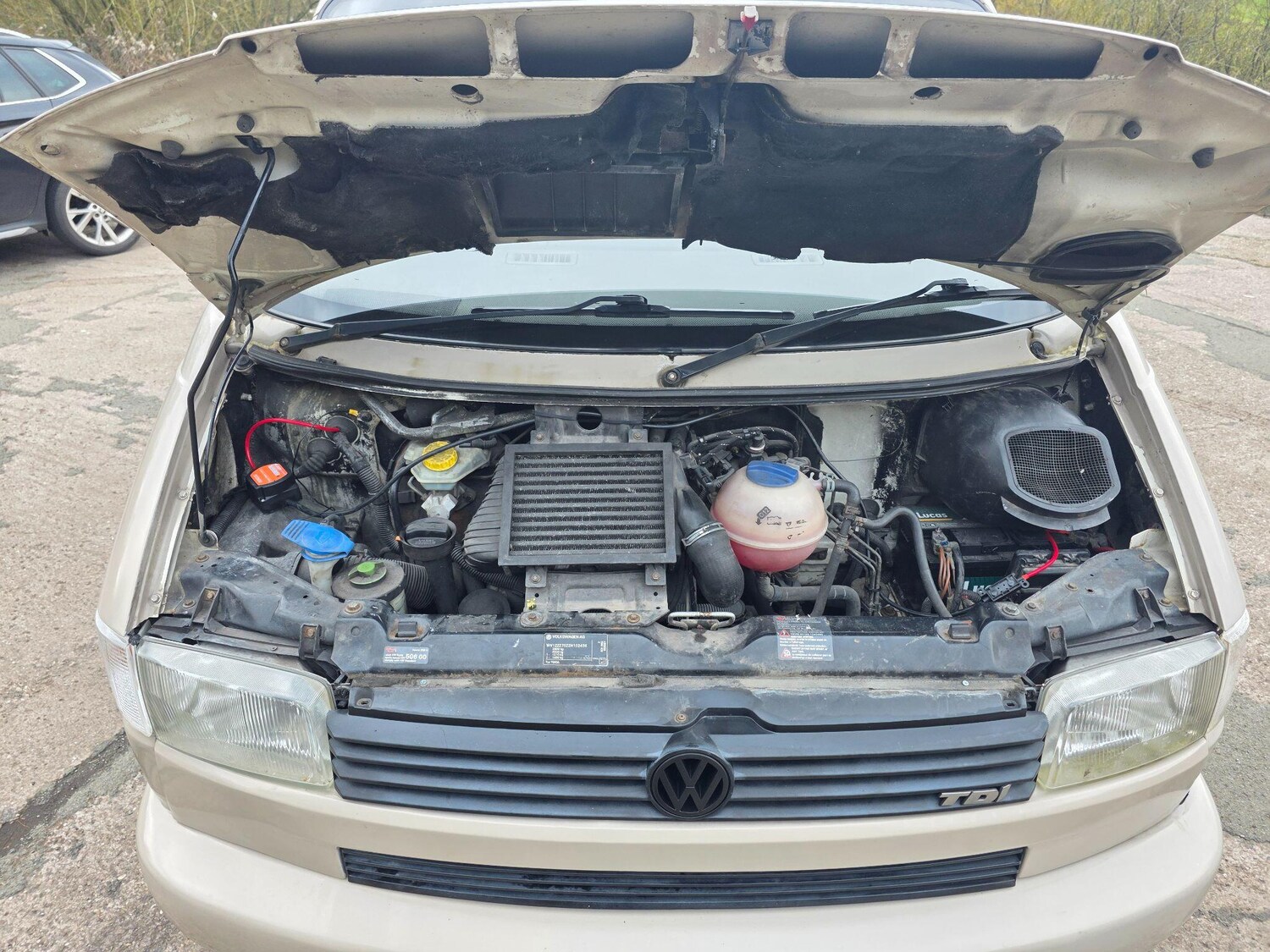 Used Volkswagen Transporter for sale - 77808588: Photo 10