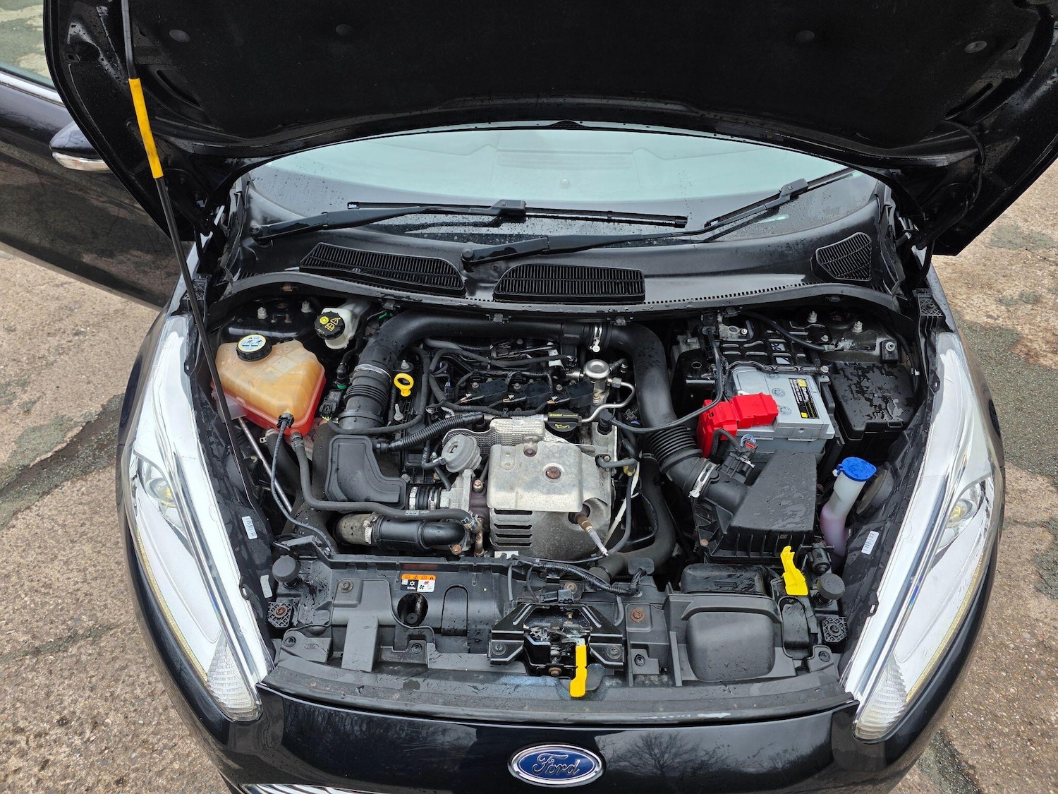 Used Ford Fiesta 2016 for sale - 77783523: Photo 10