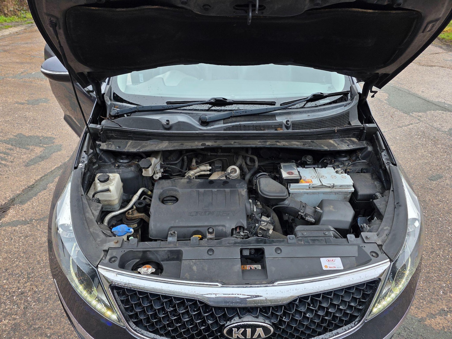 Used Kia Sportage 2014 for sale - 77455573: Photo 10