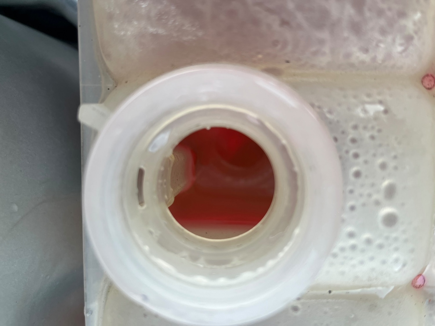 Used Ford Focus 2009 for sale - 77241170: Photo 36