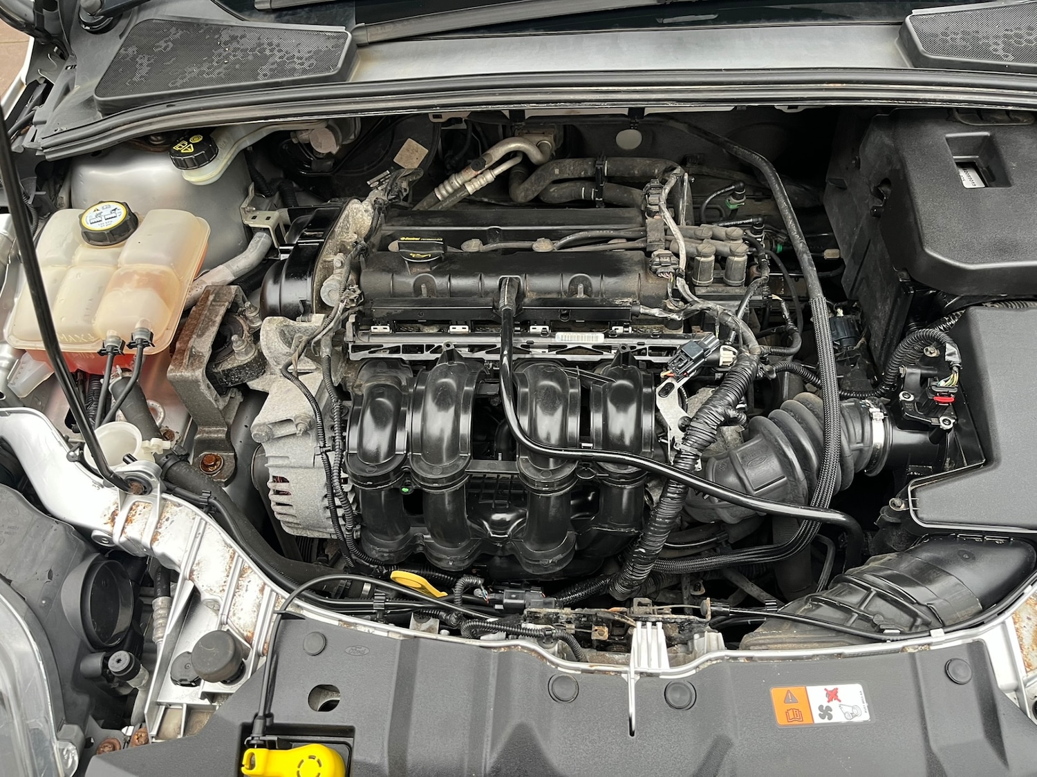 Used Ford Focus 2012 for sale - 77438512: Photo 16