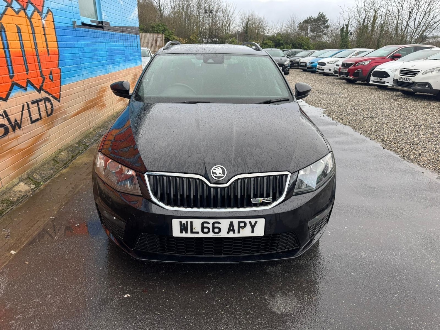 Used Skoda Octavia 2017 for sale - 77341051: Photo 5
