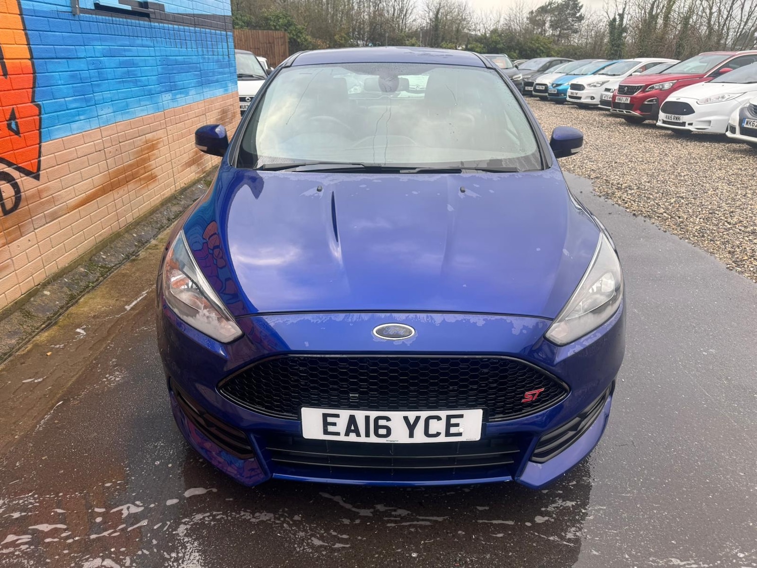 Used Ford Focus 2016 for sale - 77608102: Photo 5