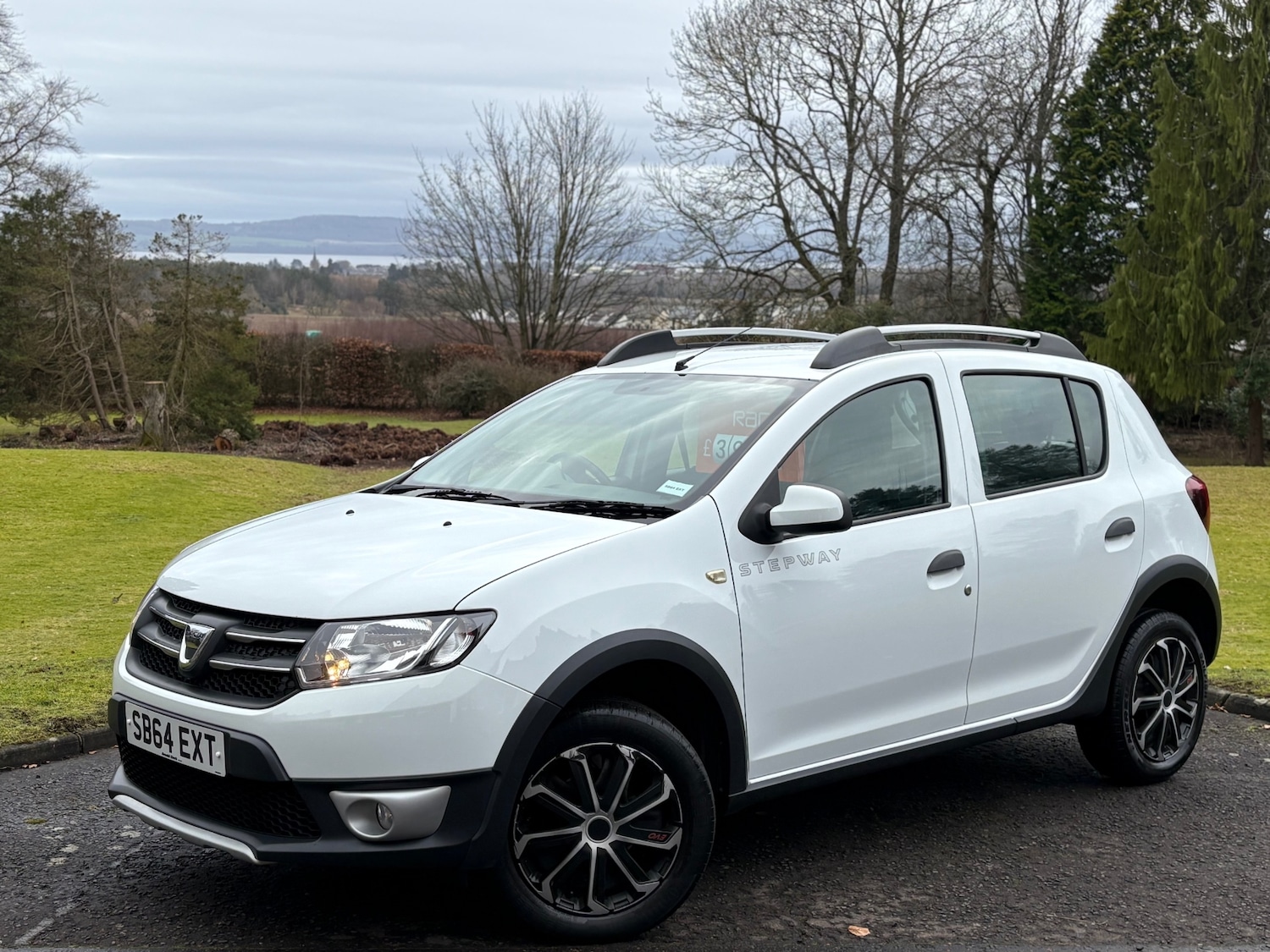 Used Dacia Sandero Stepway 2014 for sale - 77676954: Photo 1