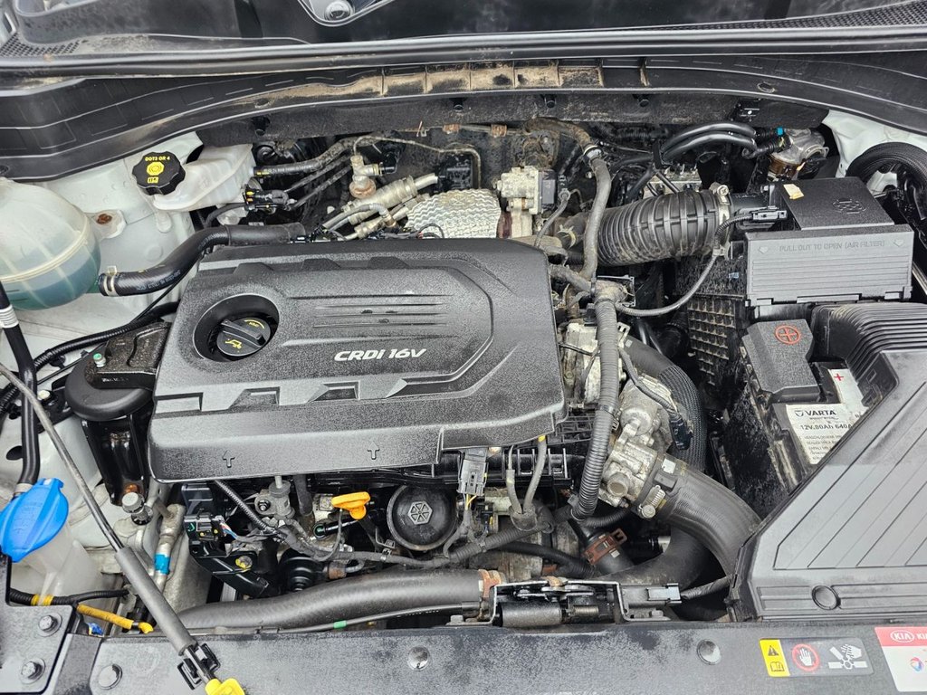Used Kia Sportage 2017 for sale - 76352885: Photo 15