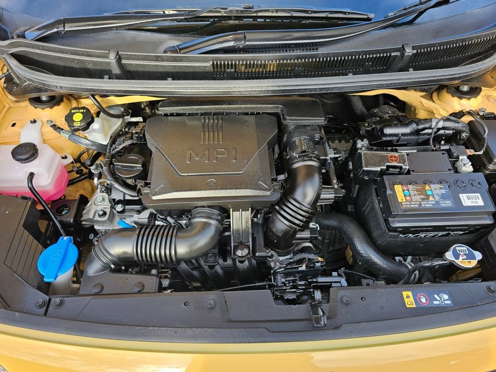 Used Kia Picanto 2024 for sale - 77388389: Photo 17