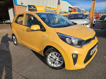 Used Kia Picanto 2024 for sale - 77388389: Photo