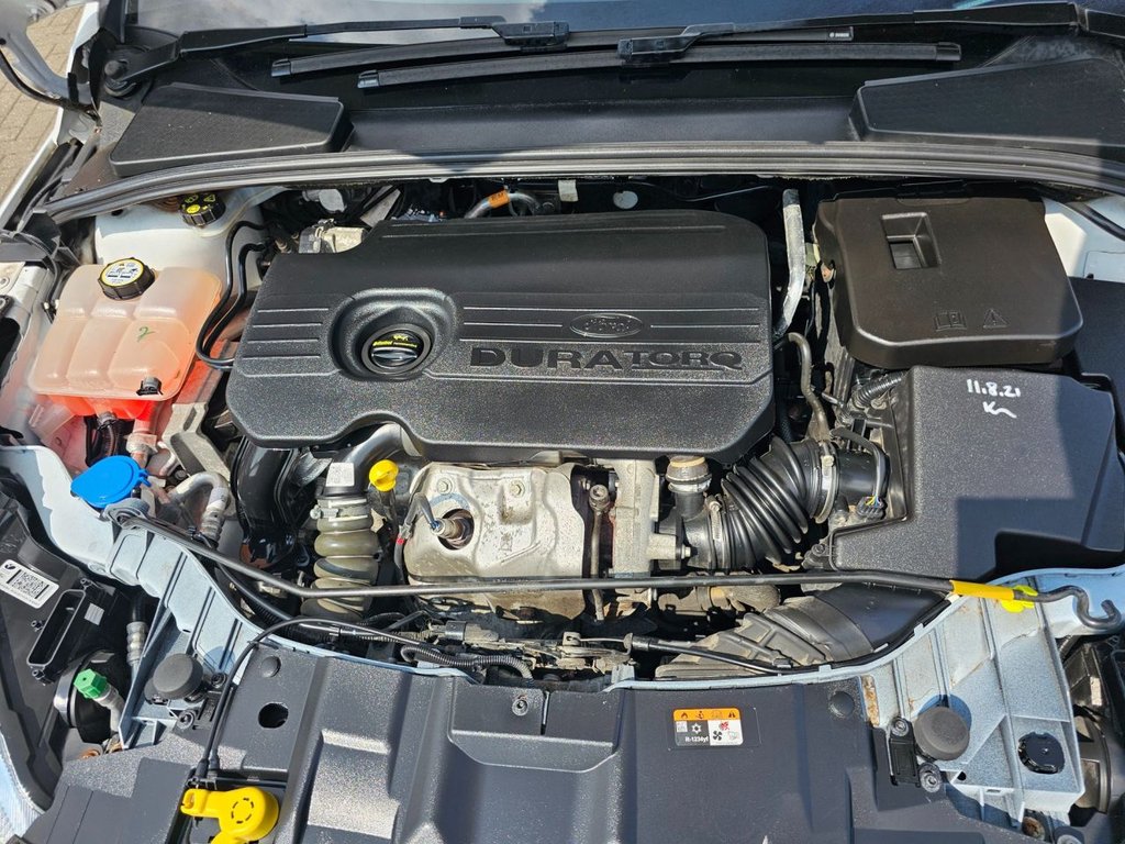 Used Ford Focus 2017 for sale - 76496384: Photo 19