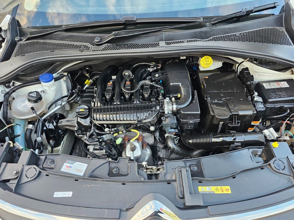 Used Citroen C3 2024 for sale - 77388387: Photo 19