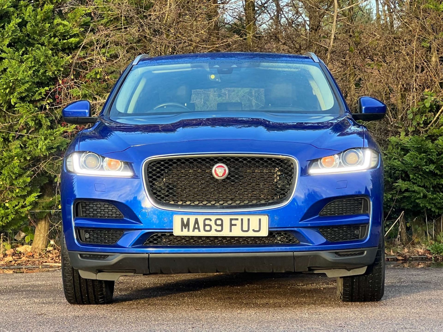 Used Jaguar F-Pace 2019 for sale - 76776917: Photo 5