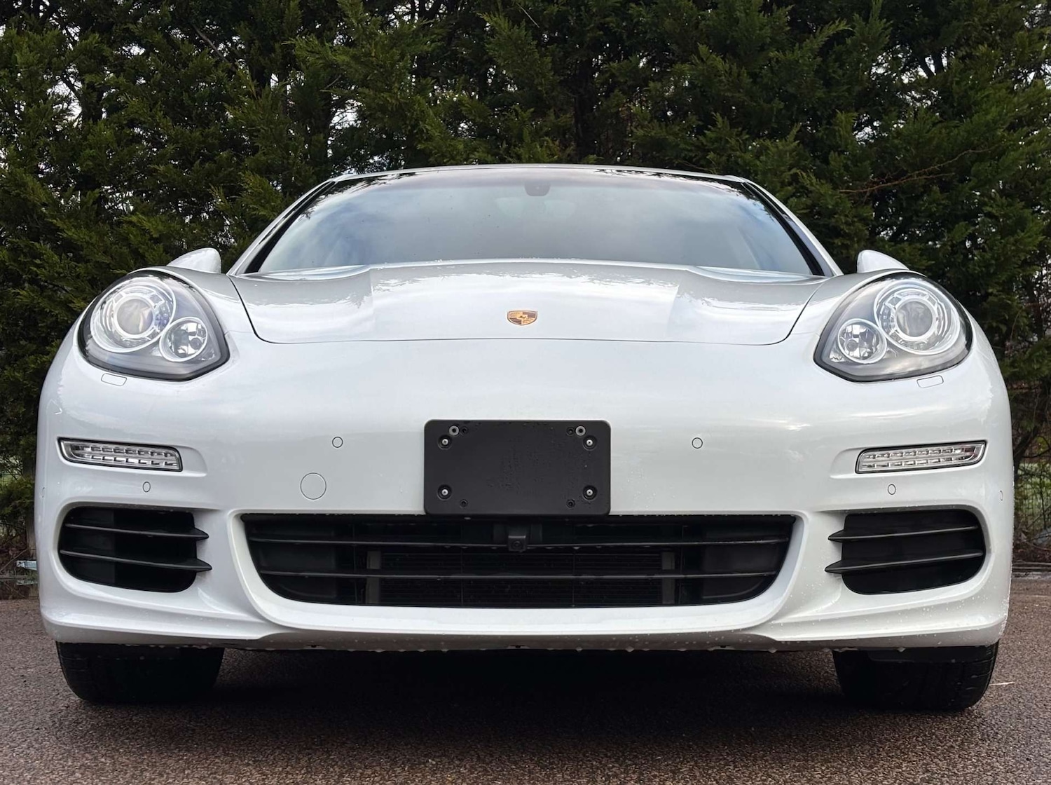 Used Porsche Panamera 2016 for sale - 77364257: Photo 5