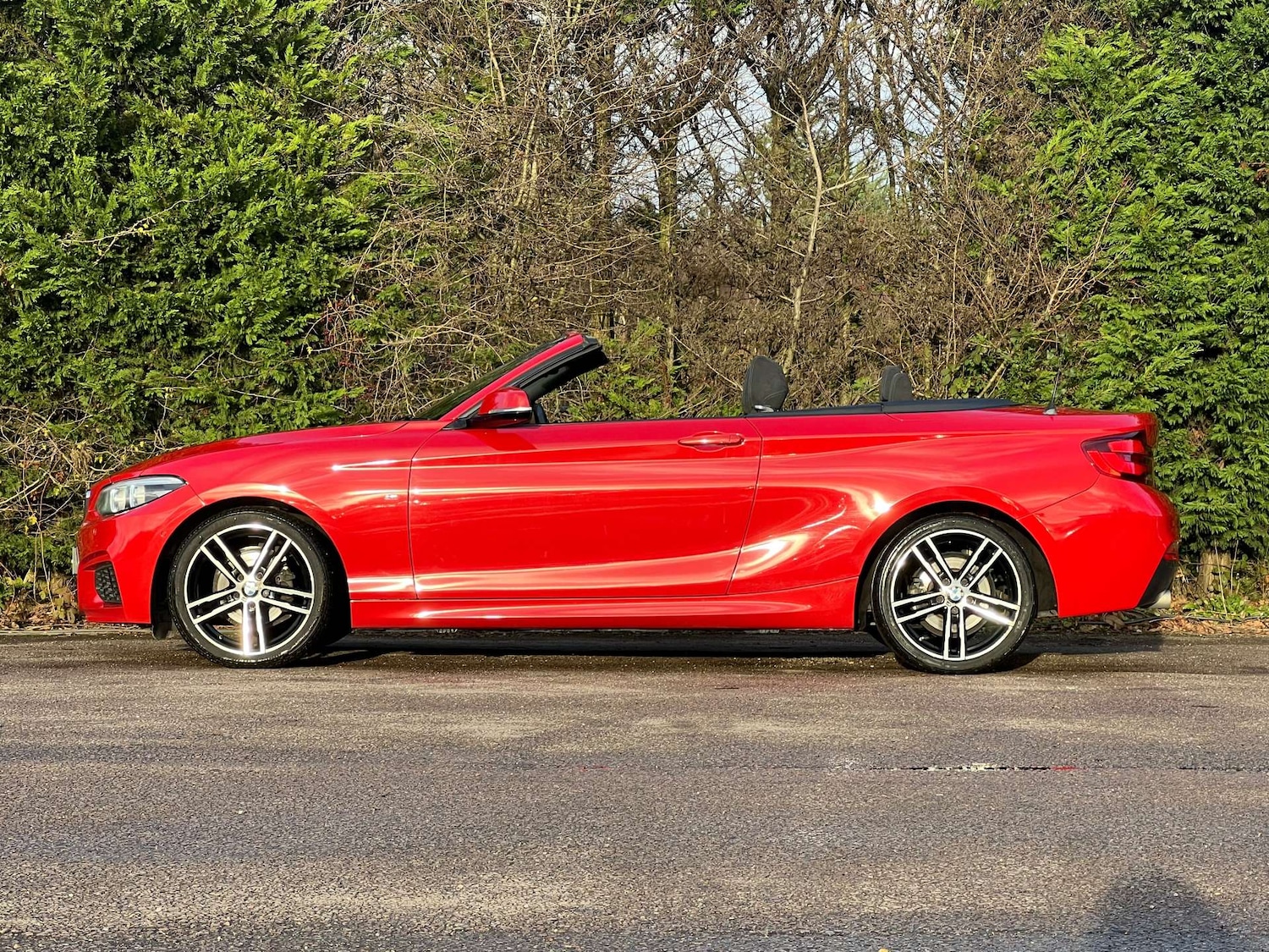 Used BMW 2 Series 2019 for sale - 76776954: Photo 7