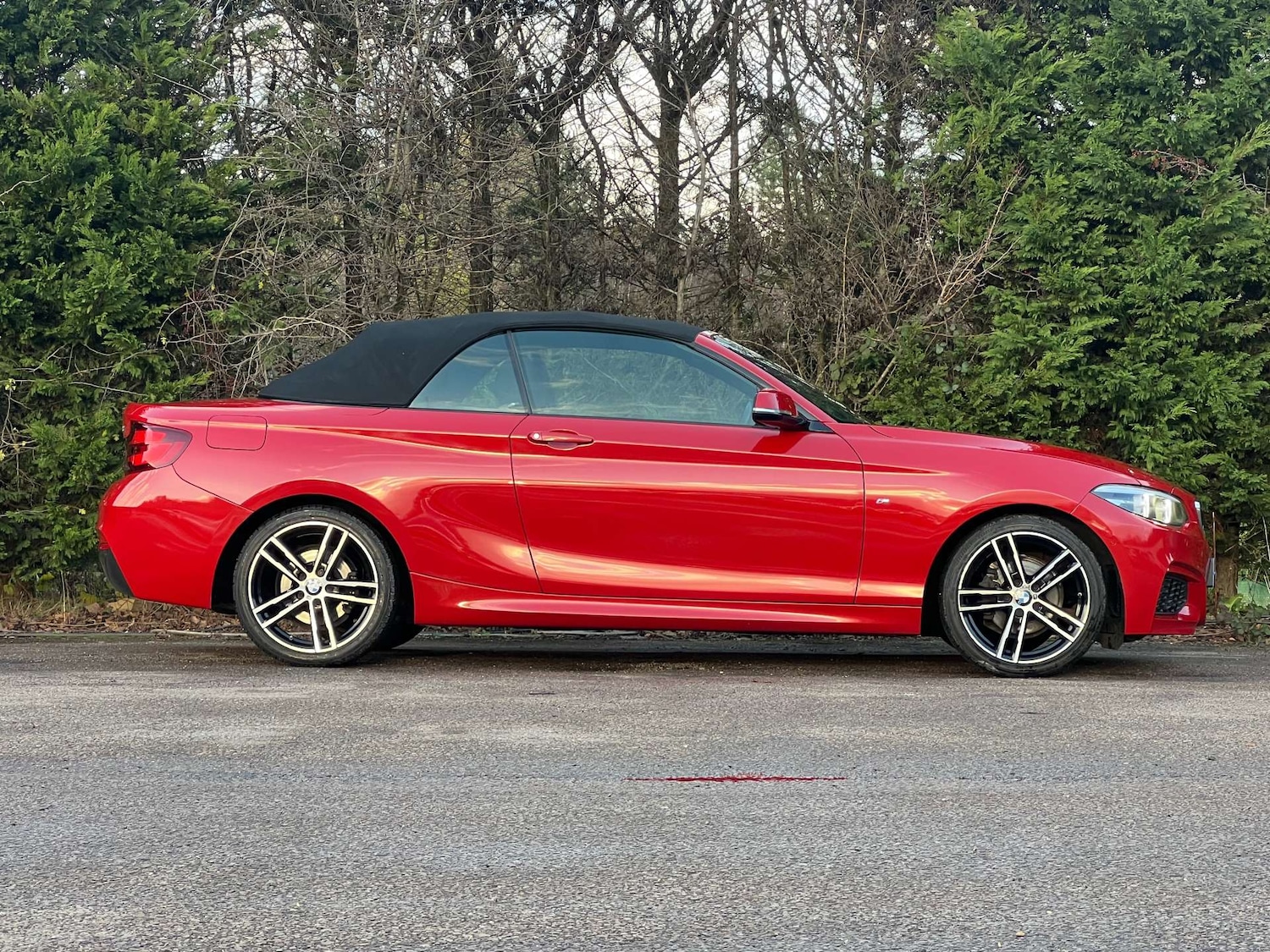 Used BMW 2 Series 2019 for sale - 76776954: Photo 9