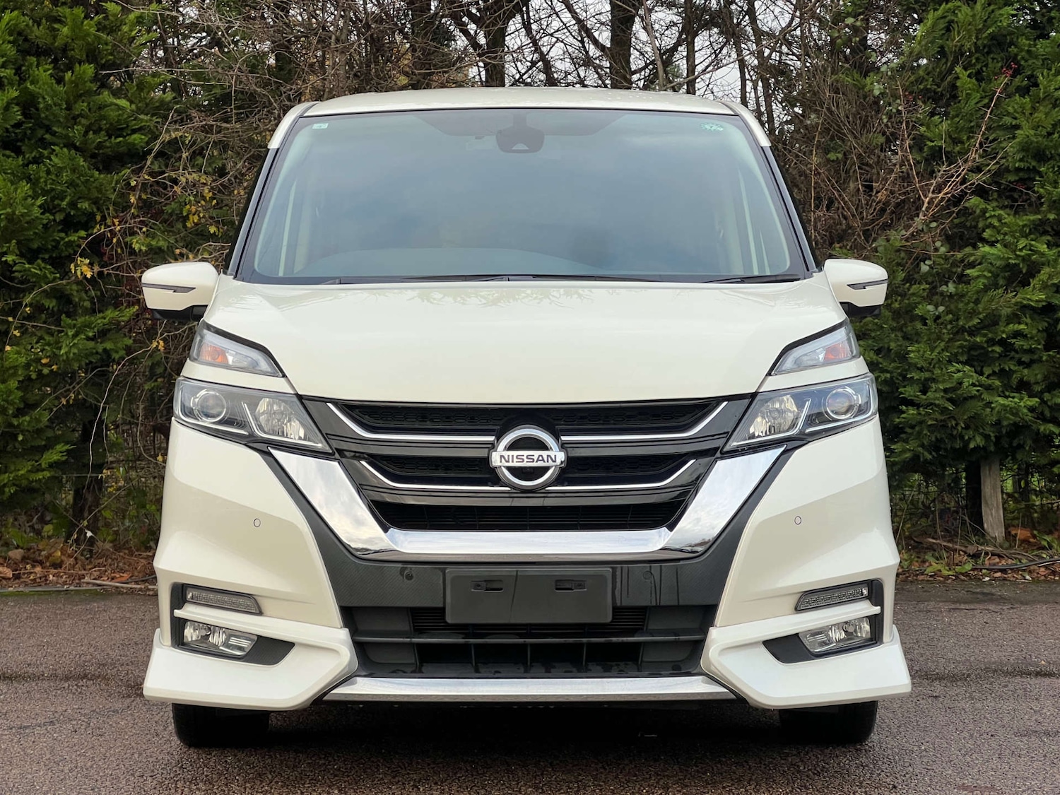 Used Nissan Serena 2018 for sale - 76983882: Photo 4