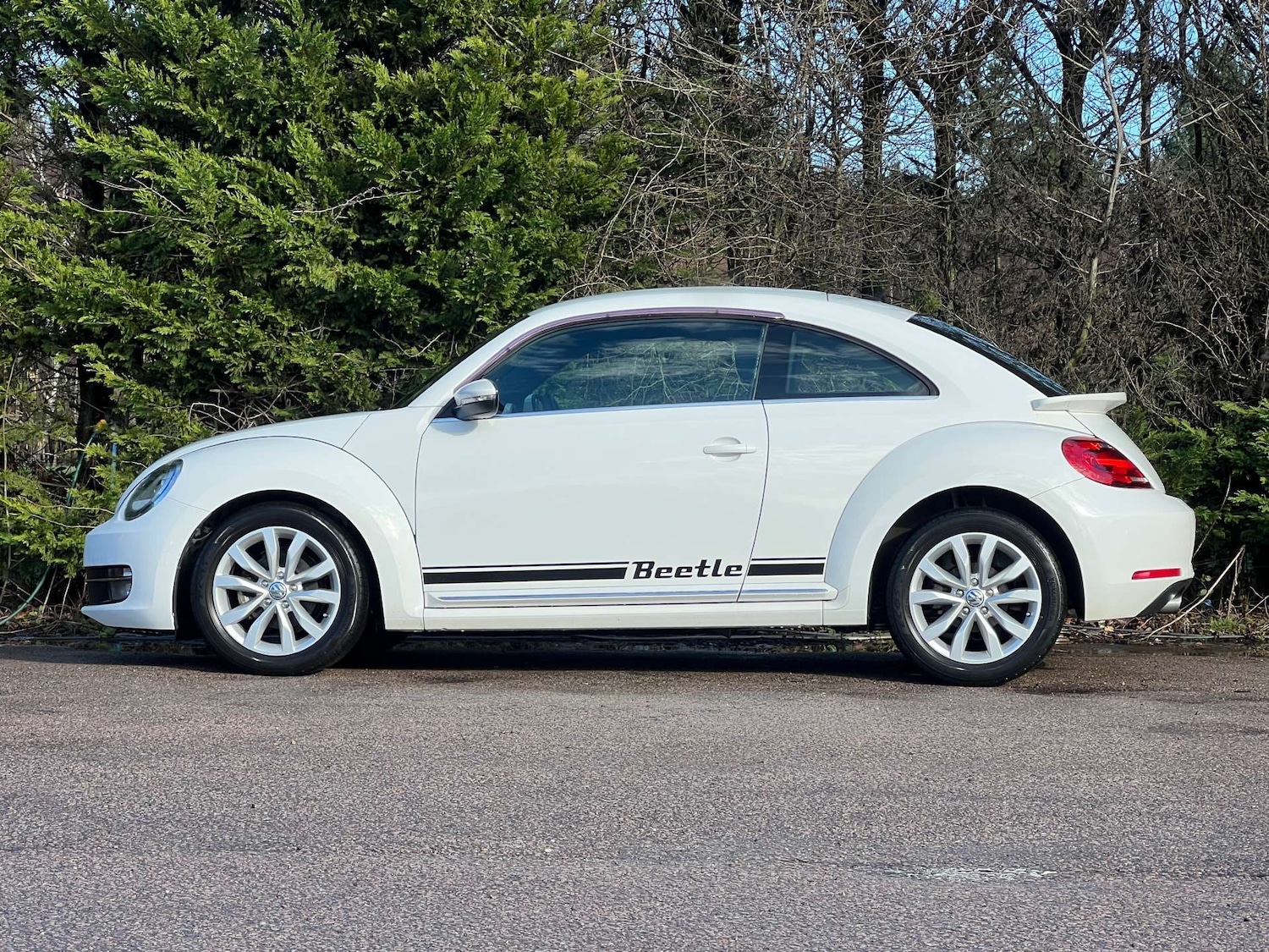 Used Volkswagen Beetle 2013 for sale - 77762335: Photo 6