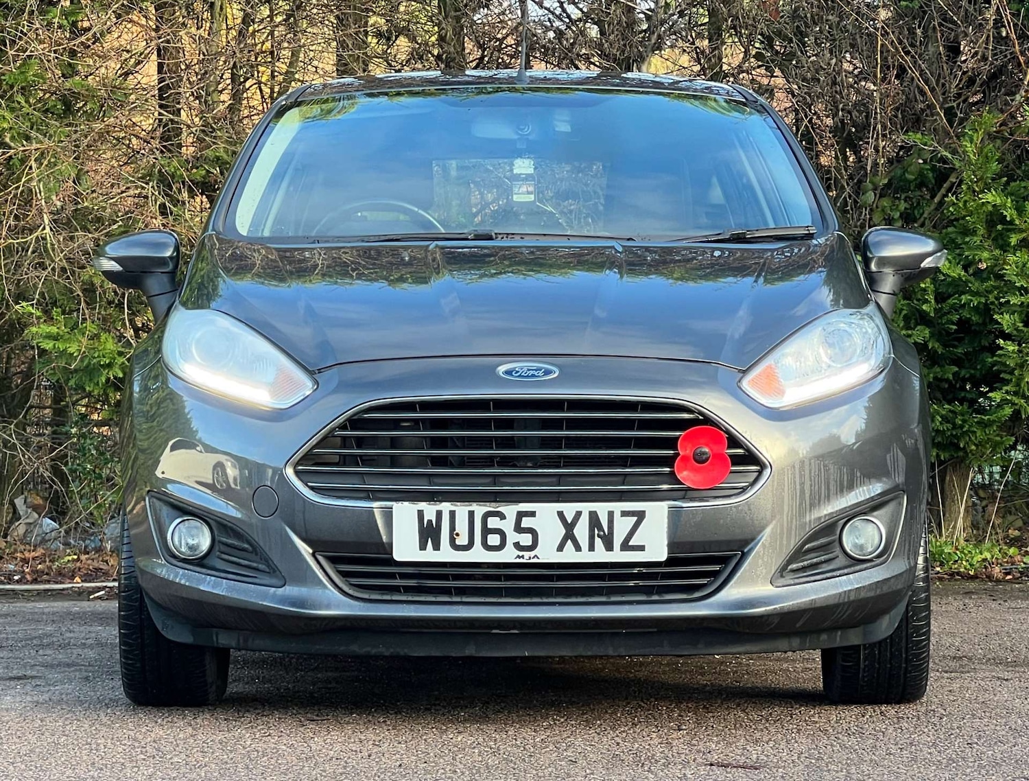 Used Ford Fiesta 2015 for sale - 76907748: Photo 5