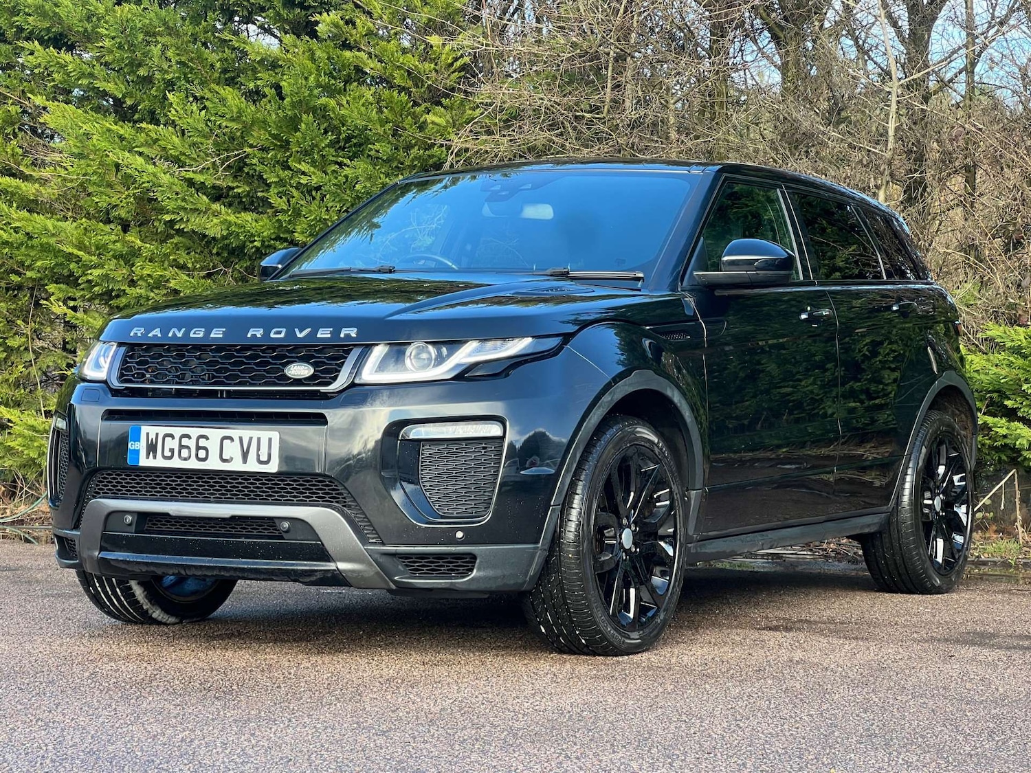 Used Land Rover Range Rover Evoque 2016 for sale - 77469797: Photo 4