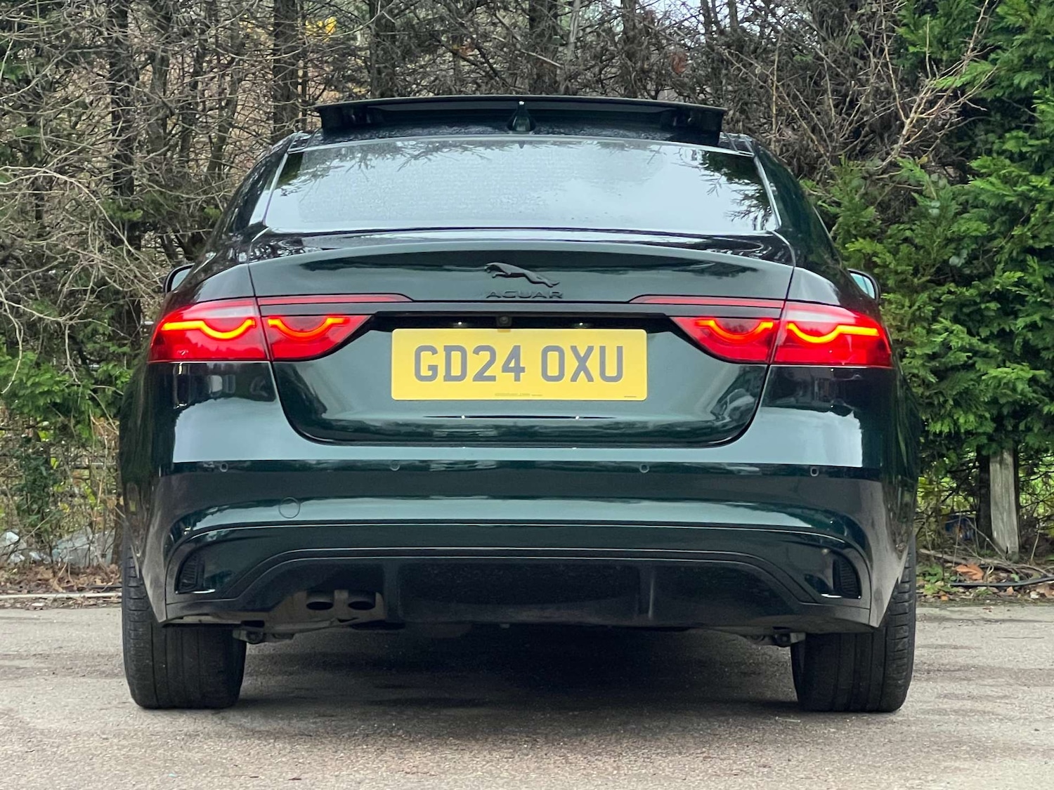 Used Jaguar XF 2024 for sale - 76933028: Photo 11