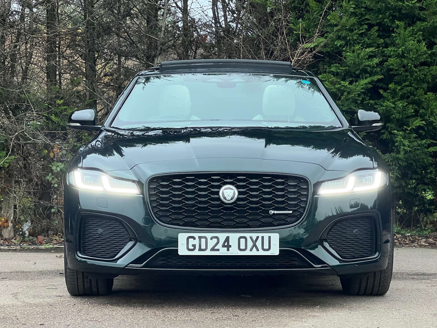 Used Jaguar XF 2024 for sale - 76933028: Photo 5