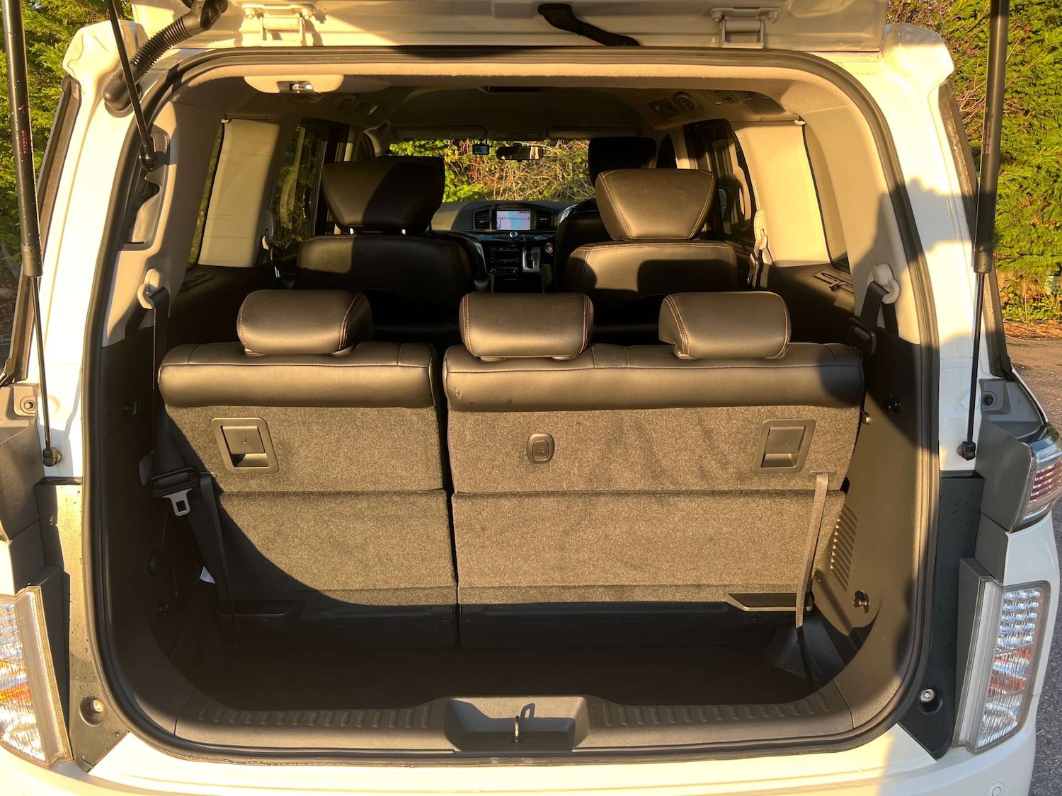 Used Nissan Elgrand 2014 for sale - 76948237: Photo 13