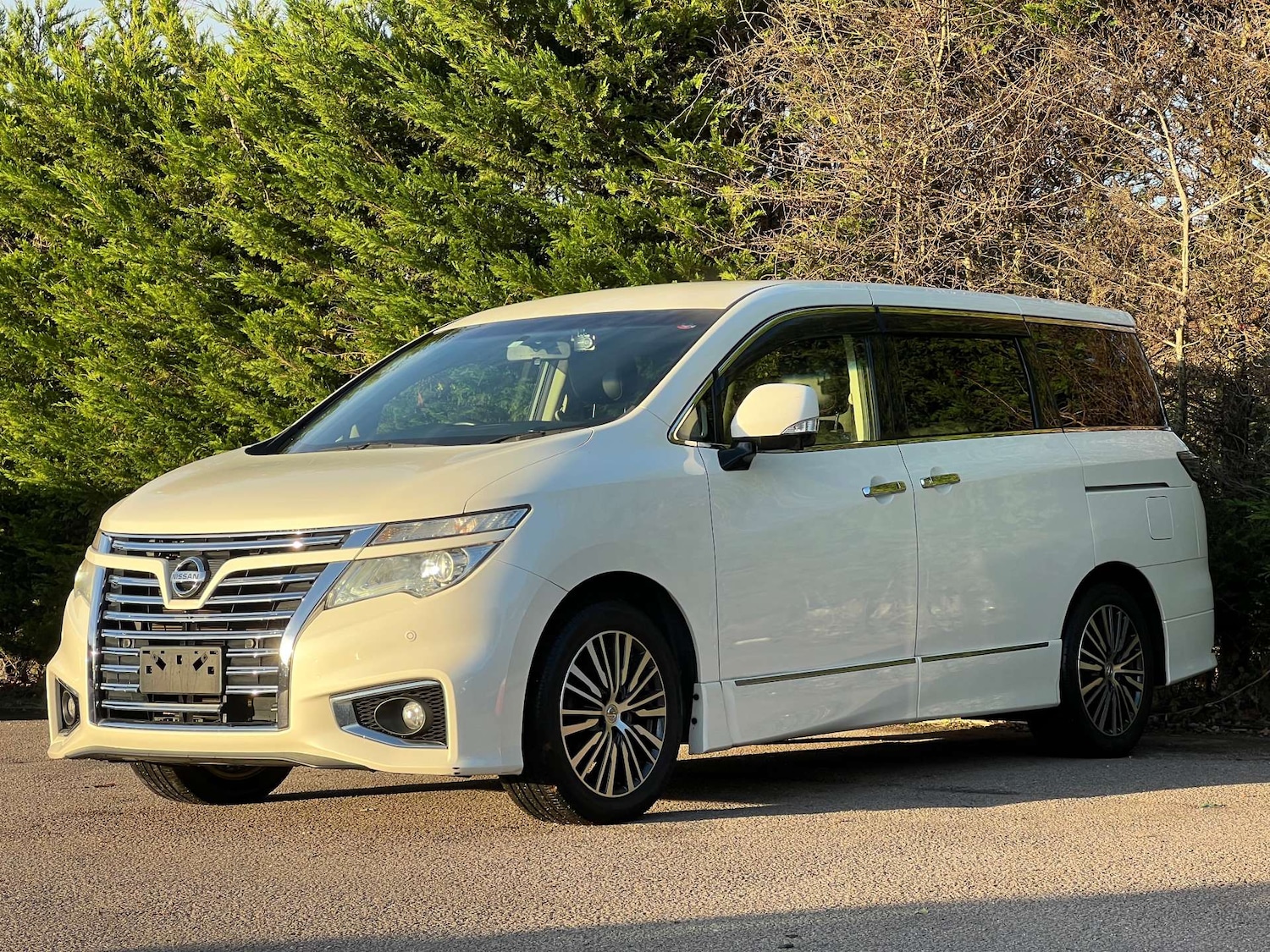 Used Nissan Elgrand 2014 for sale - 76948237: Photo 4