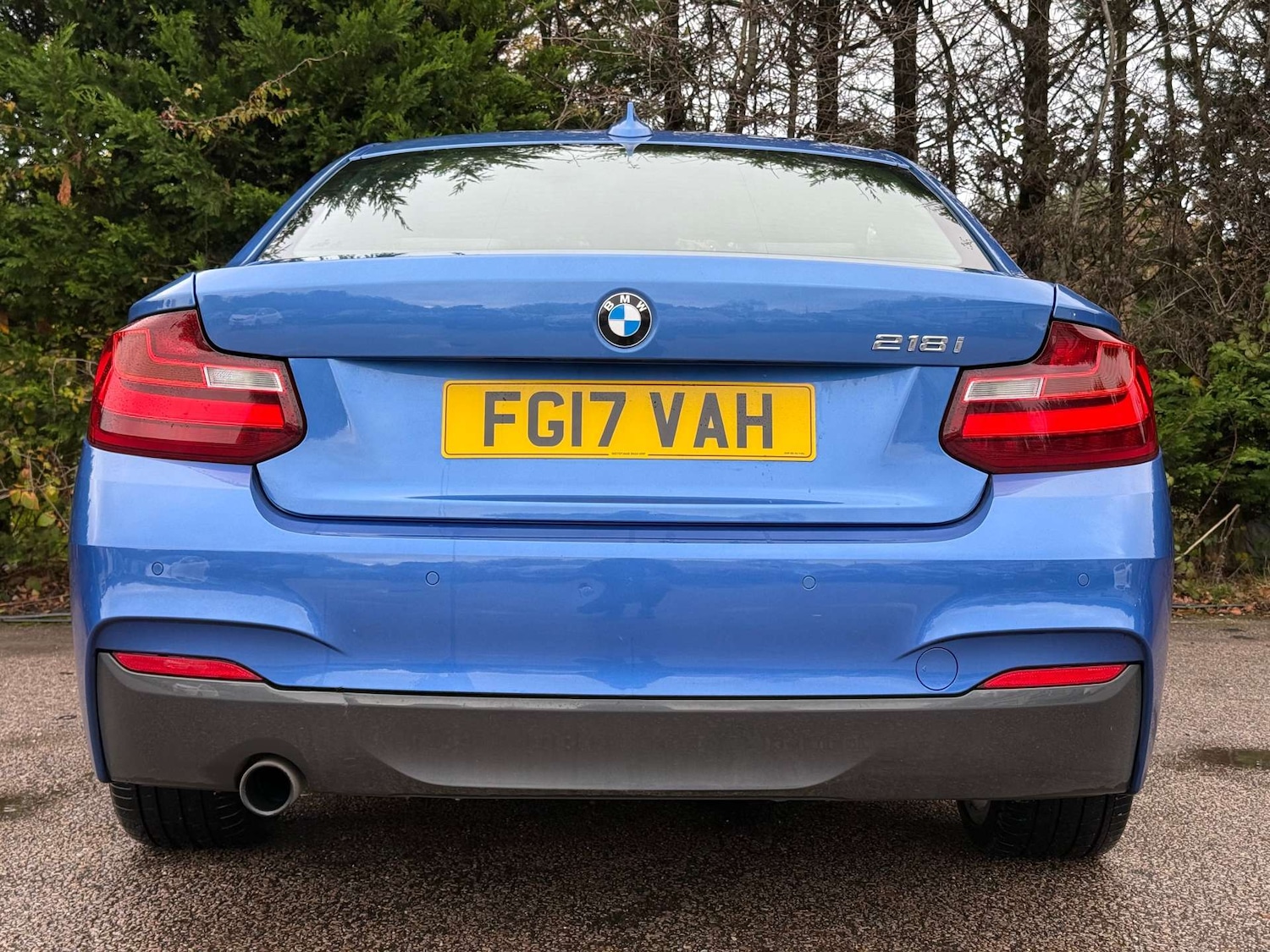 Used BMW 2 Series 2017 for sale - 76776944: Photo 11