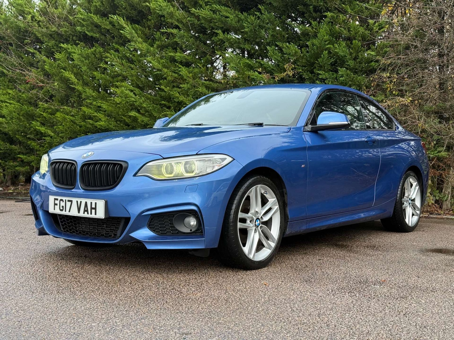 Used BMW 2 Series 2017 for sale - 76776944: Photo 4