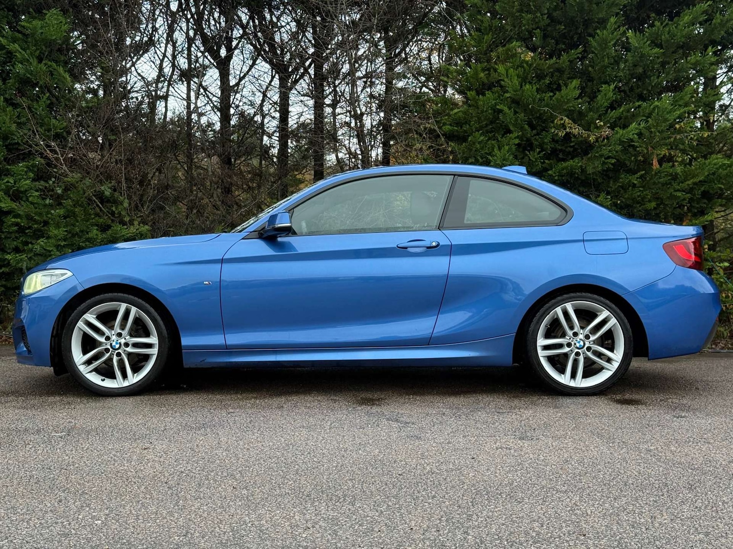 Used BMW 2 Series 2017 for sale - 76776944: Photo 7