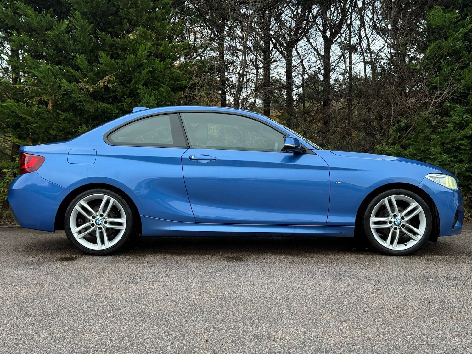 Used BMW 2 Series 2017 for sale - 76776944: Photo 9