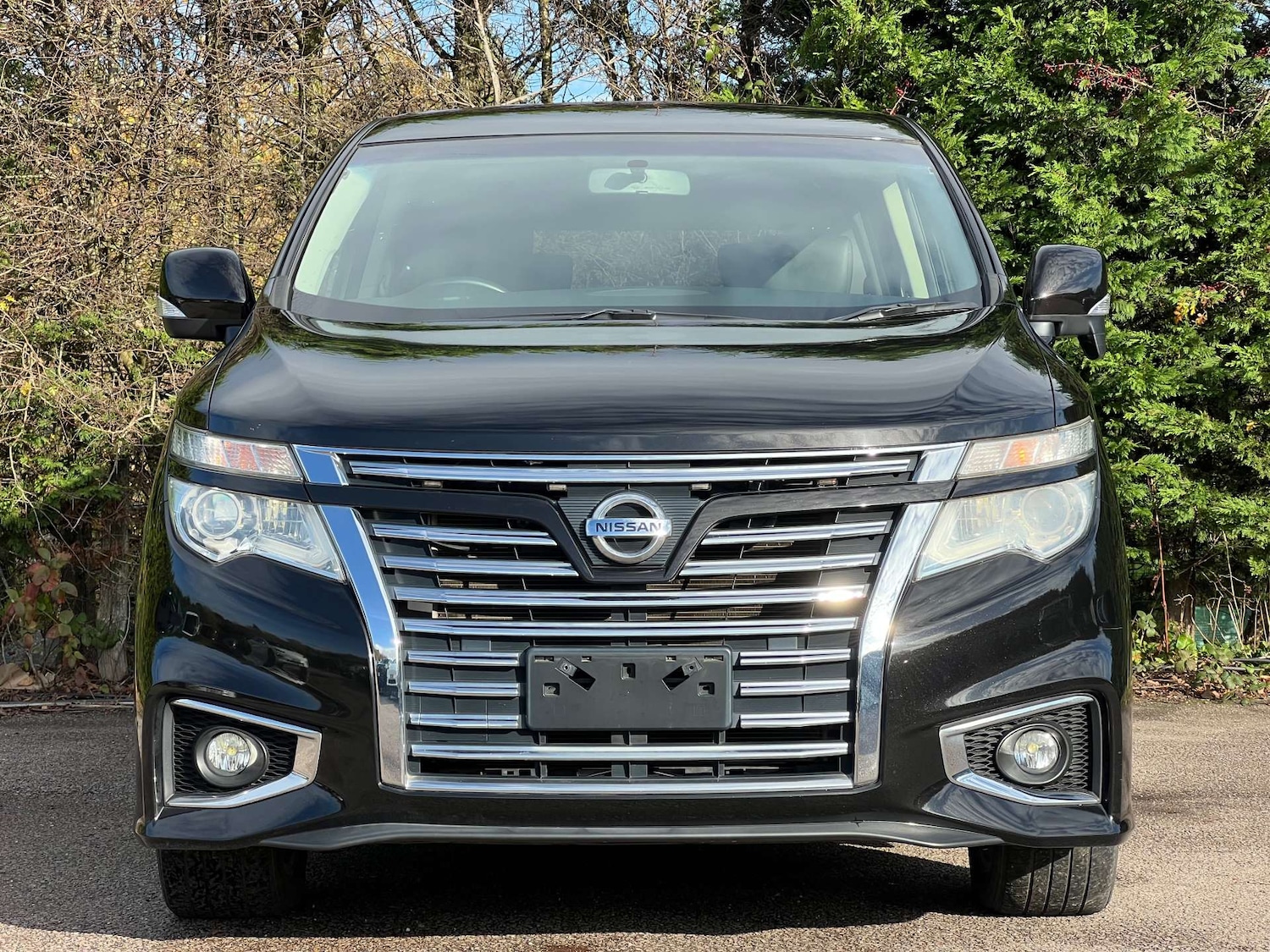 Used Nissan Elgrand 2017 for sale - 76959846: Photo 5