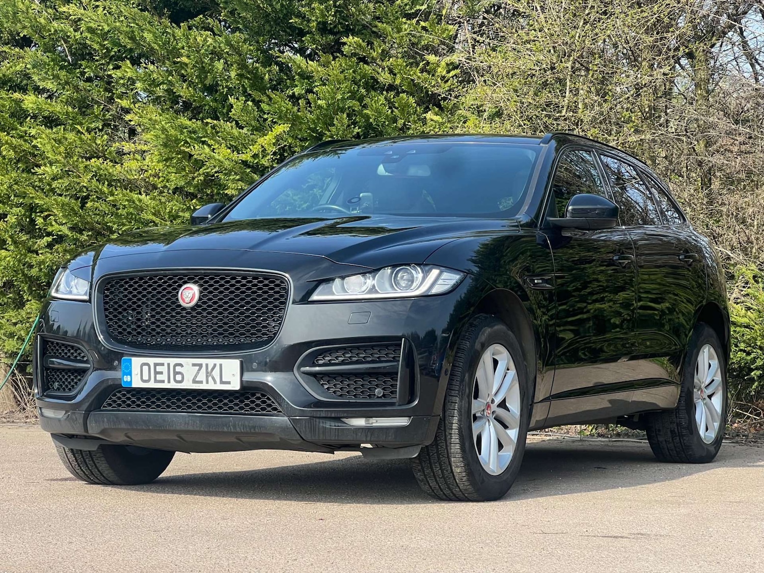 Used Jaguar F-Pace 2016 for sale - 77988236: Photo 4