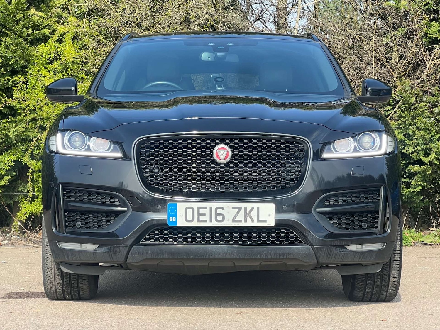 Used Jaguar F-Pace 2016 for sale - 77988236: Photo 5