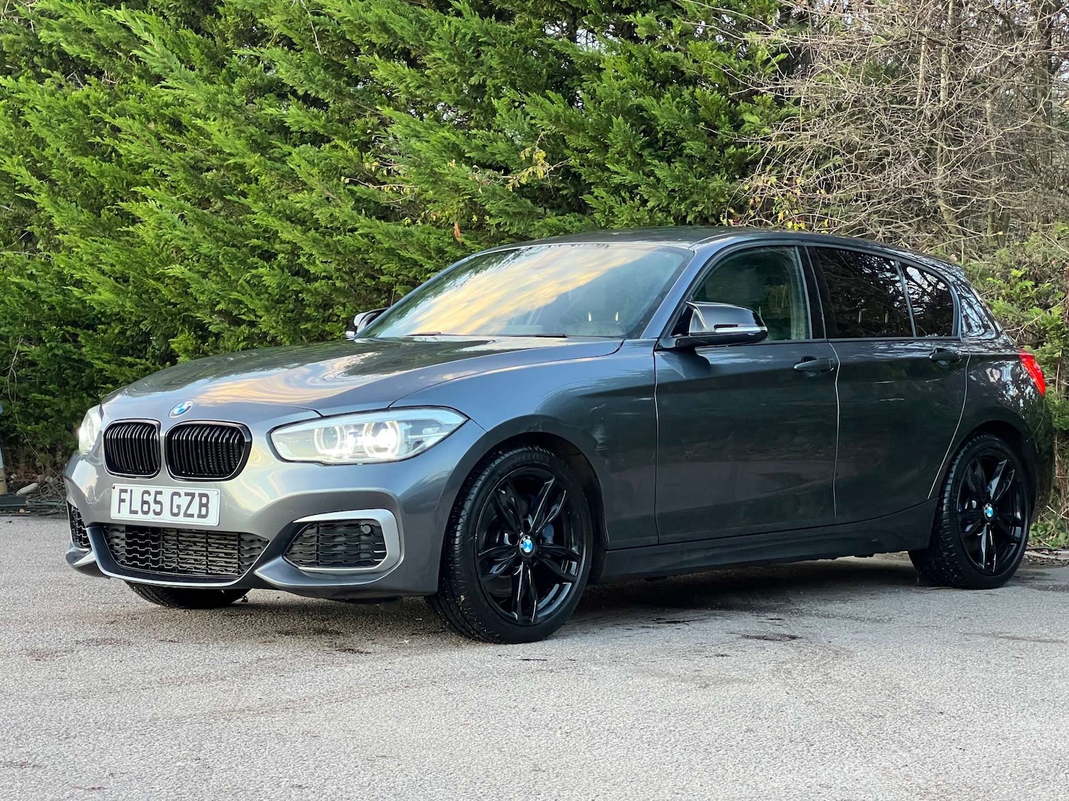 Used BMW 1 Series 2015 for sale - 76776927: Photo 4