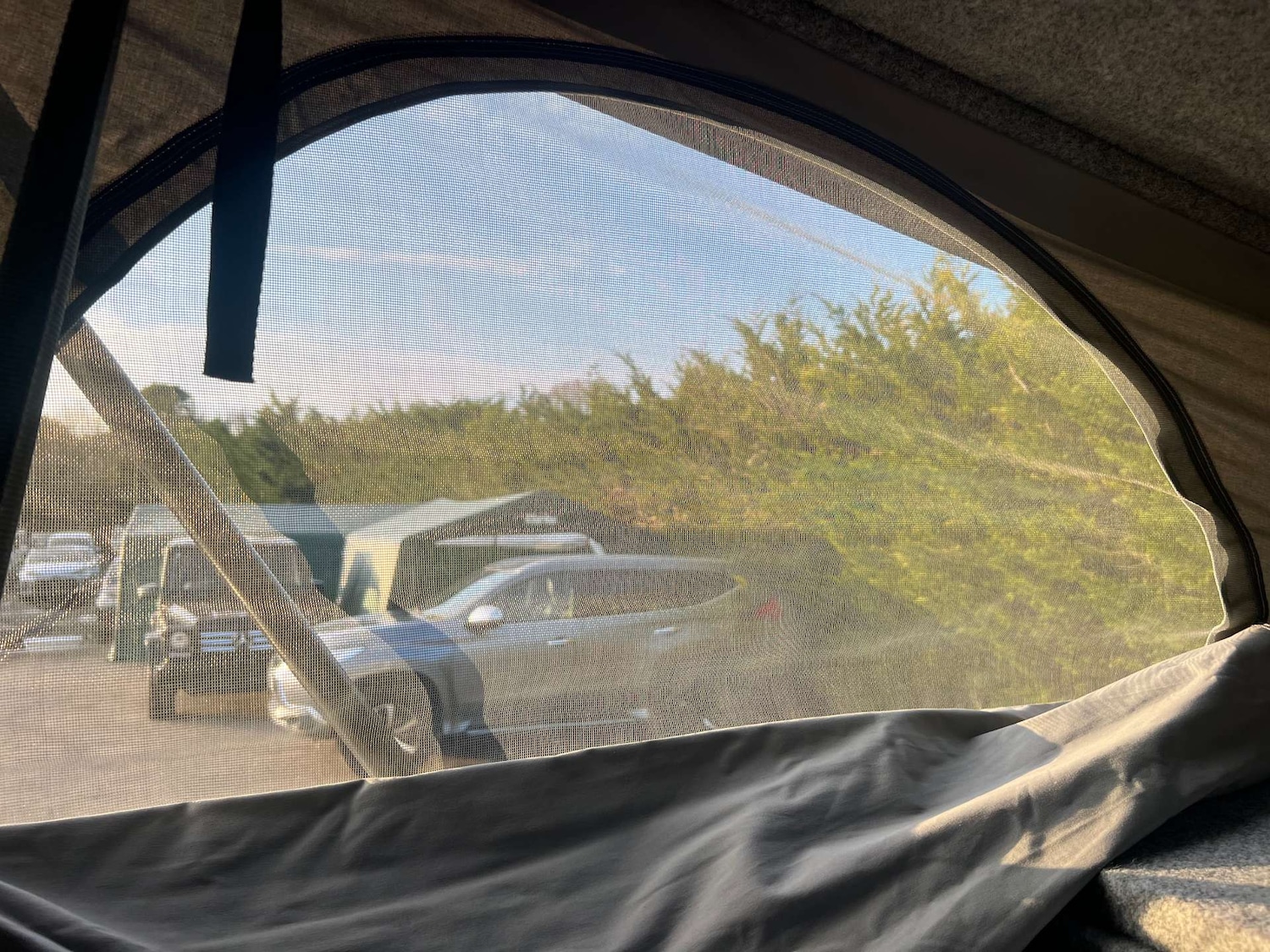 Used Nissan Elgrand 2020 for sale - 77735044: Photo 56