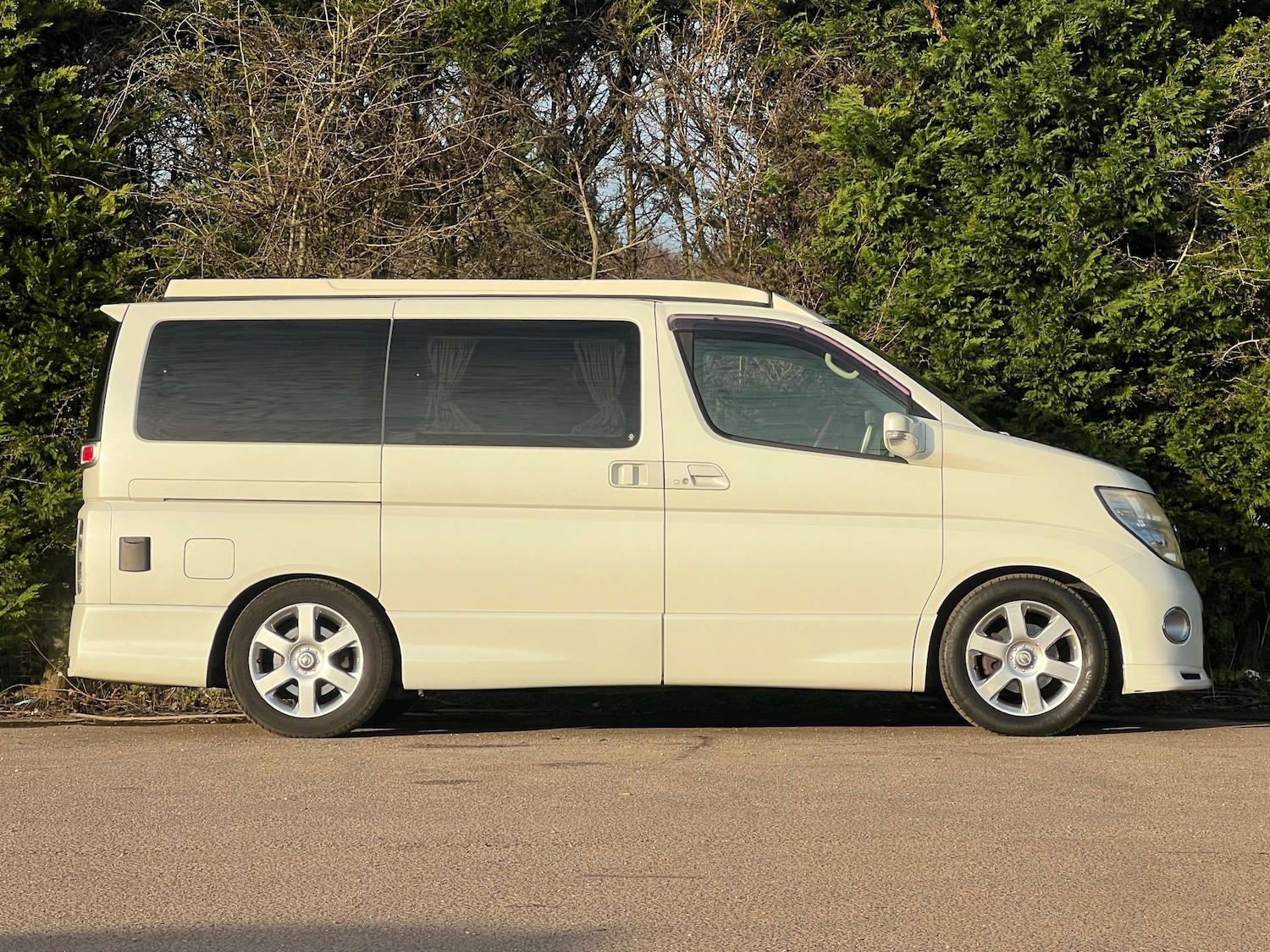 Used Nissan Elgrand 2020 for sale - 77735044: Photo 8