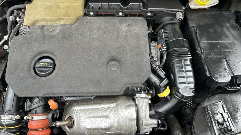 Used Citroen C4 Cactus 2020 for sale - 78035841: Photo 18