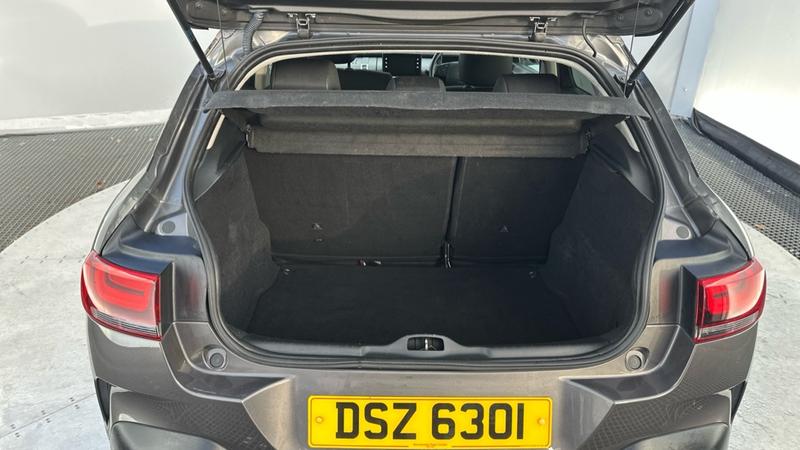 Used Citroen C4 Cactus 2019 for sale - 76835756: Photo 15