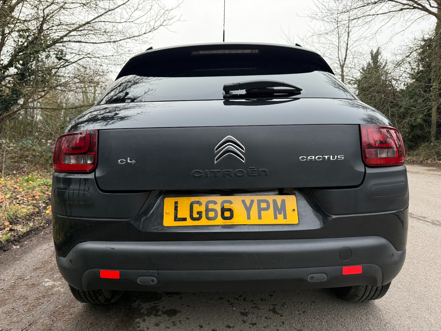 Used Citroen C4 Cactus 2016 for sale - 77592531: Photo 8