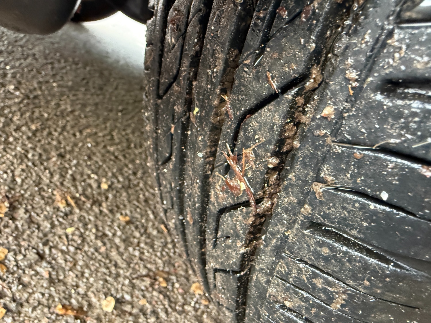 Used Nissan Note 2009 for sale - 77610721: Photo 20