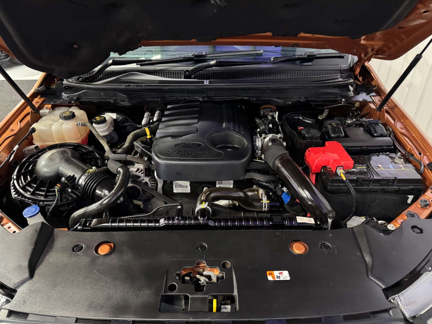 Used Ford Ranger 2020 for sale - 77778124: Photo 79